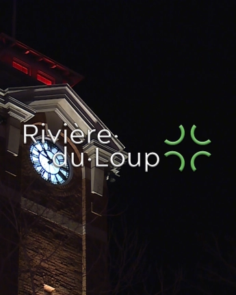 13279233697372