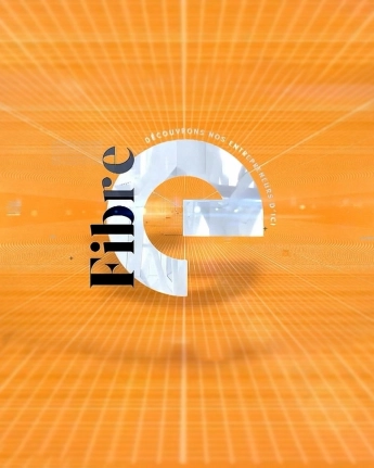 42507630416881